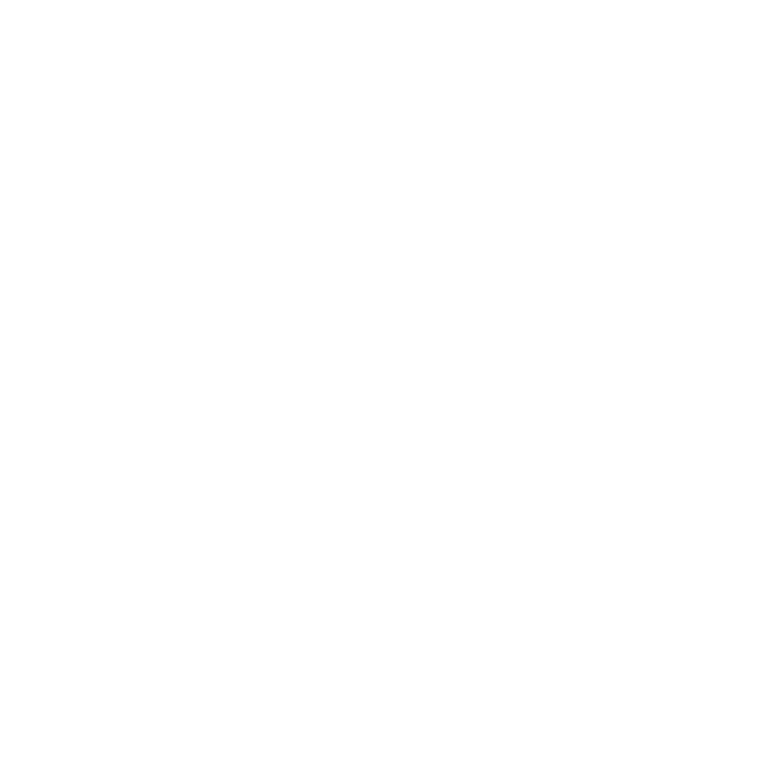 VW Staszak